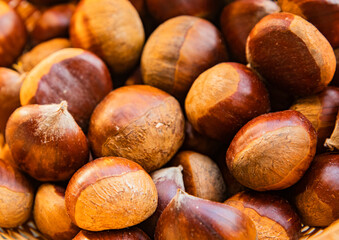 Castañas de temporada de Otoño