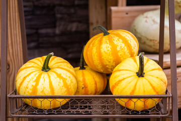 pumpkins and gourds for sale at the market
