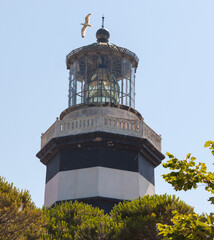 Close-up of lantern room of lighthouse in Sile, Turkey. The seagull is flying before the lighthouse and trees are visible in the front.