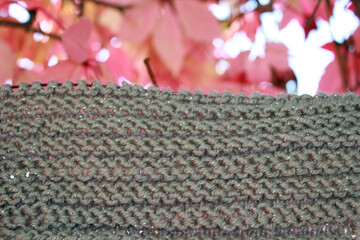 Warm wool yarn on the background of autumn leaves