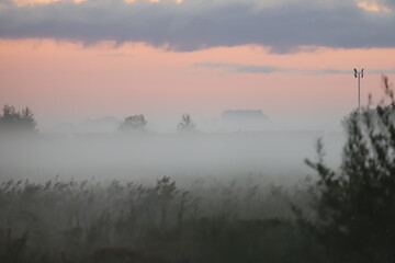 Fototapeta na wymiar morning with fog