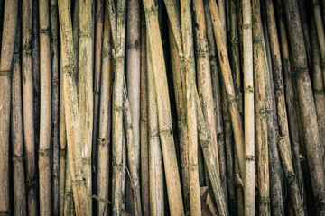 Many bamboo logs together on a wood texture background