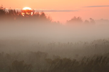 morning with fog
