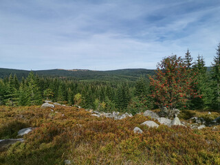 Obraz premium View of the Jizera Mountains - Sudetes Mountains - Poland 