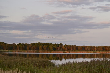 landscape with lake