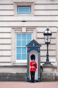 A royal guard outside Buckingham Palace, official residence of the Queen in Central London, London, England, United Kingdom