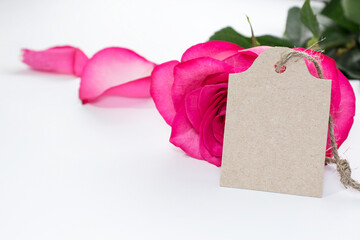 Scene of the layout of the accessories mock-up of the holiday, birthday, Valentine's Day, Wedding. Blank gift tag, label. Decorative . Close-up of robe, tag, pink rose petals. Selective focus.
