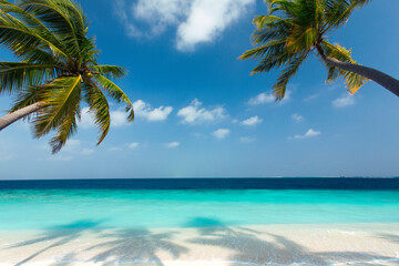 Naklejka premium Tropical beach and palm trees, The Maldives, Indian Ocean