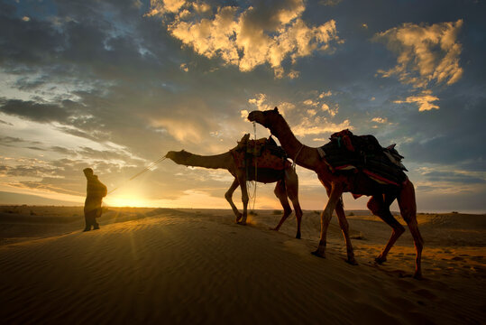 A camel trader in the famous Sam Sand dunes in Jaisalmer region of Rajasthan state, India