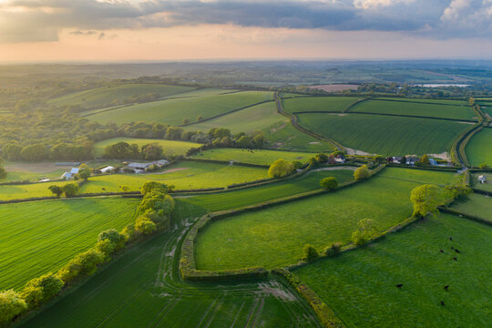 Verdant spring countryside in evening sunlight, Livaton, Devon
