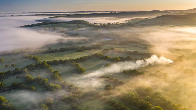 Mist shrouded countryside at dawn in spring, Coryton, Devon