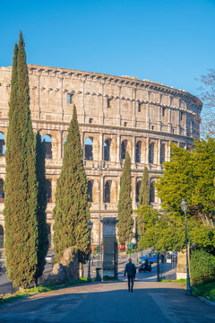 Coliseum from Parco del Colle Oppio, Rome, Lazio