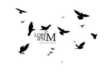 A flock of flying birds. Vector illustration