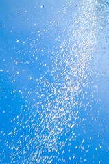 シャワーの水しぶき