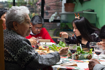 Family at a Christmas dinner