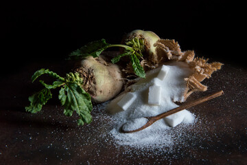 sugar beet and white sugar with rust background