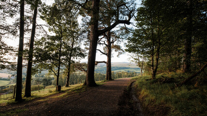 Pathway through woodlands