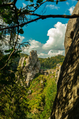 picturesque landscape of mountain rocks in natural green forest foliage foreground frame vertical photography