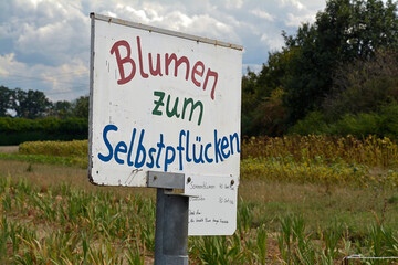 blumen zum selbstpflücken