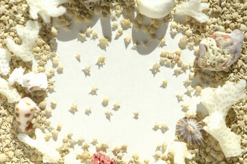 星の砂と貝殻