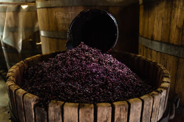 organic wine production
