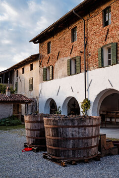Wooden vats full of grapes, ready for pressing