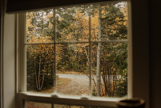 Autumn as seen through a window