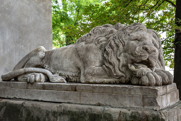 Fototapeta na wymiar stone lion figure in the Lviv, Ukraine