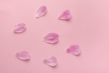 Delicate pink petals on pink background. Floral background