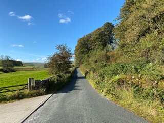 Country road, leading to Halton Gill, with dry stone walls, fields, trees, and wild plants near, Hawkswick, Skipton, UK