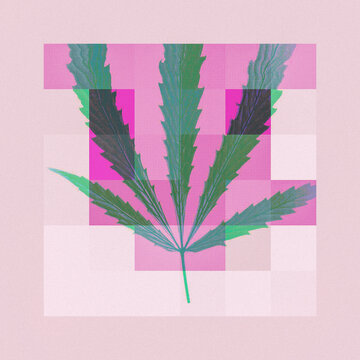 Scan of cannabis/marijuana leaf [glitch]