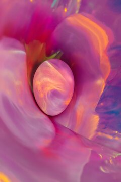 Colorful egg on bright versicolored pink background