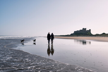 Couple walking their dogs on Bamburgh Beach. Northumberland, UK.