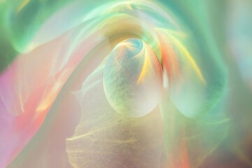 Chicken egg in holographic film