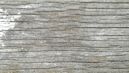 abstract wood texture with line pattern colorful for background. © John