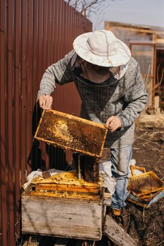 Beekeeper Cheking A Frame Of The Bee house