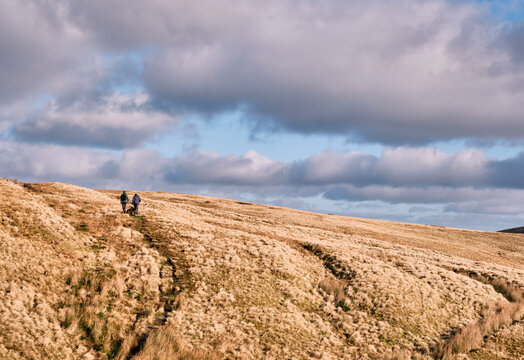 Father and son walking in the Cheviot Hills. Northumberland, UK.