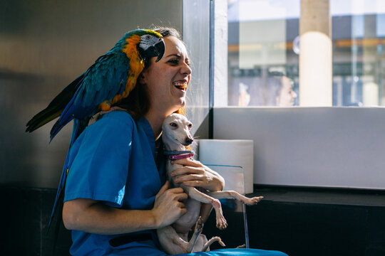 Happy vet with parrot and dog