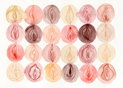 Multiethnic vulvas