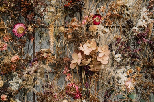 Dried flowers pattern