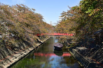 聲の形