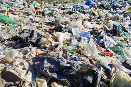 Plastic bags on a landfill