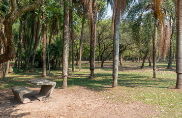 Cement bench and trees in a park