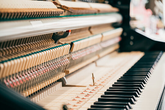 Inside of Piano