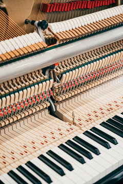 Inside of Piano