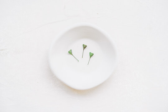 leaves in the shape of a heart