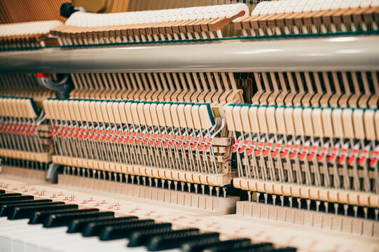 Inside of Piano