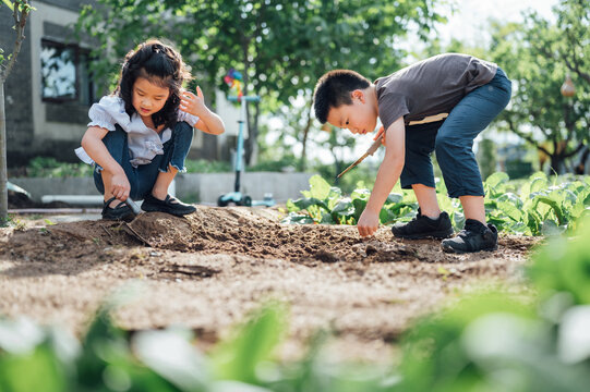 Kids planting in garden