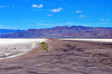 Utah - Bonneville Salt Flats