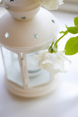 白いランプとバラ